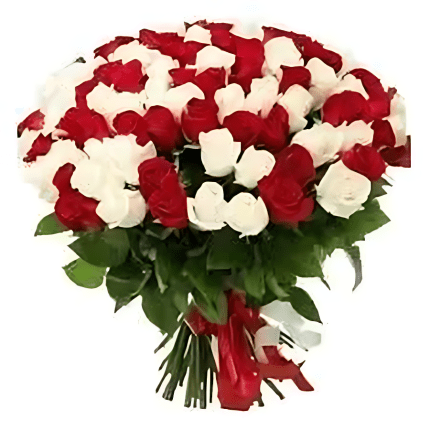 101-mixed-red-and-white-roses-enhanced