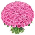 250-pink-roses