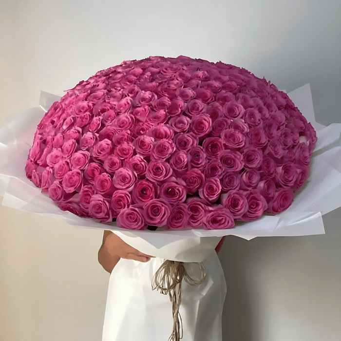 300-hot-pink-roses-enhanced