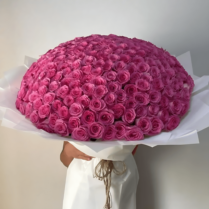 300-hot-pink-roses-enhanced