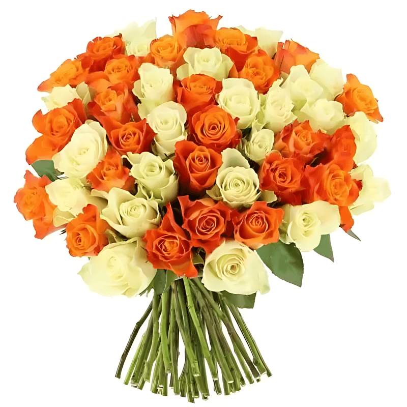 50-orange-and-white-roses-handtied-bouquet-enhanced