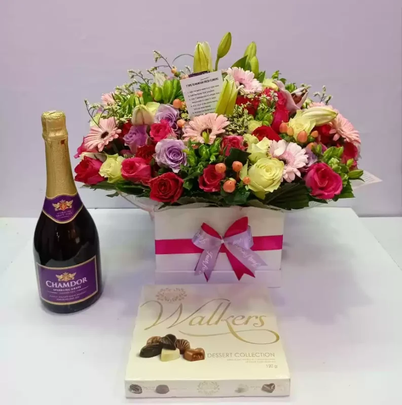 divas-package