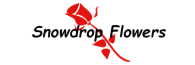 snowdrop-flowers-logo