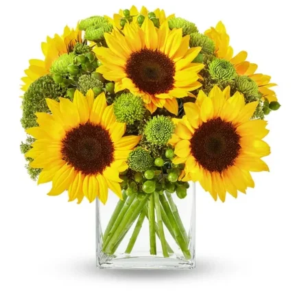 sunflower-hills