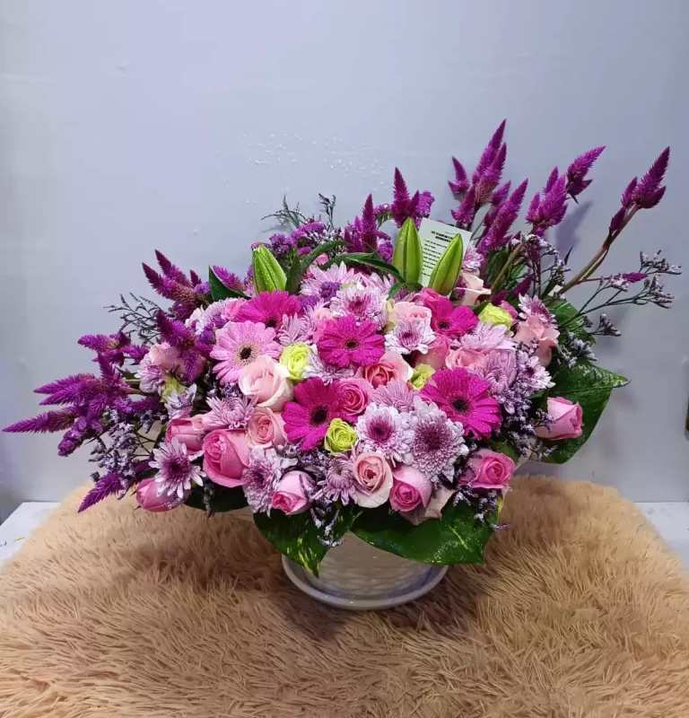 violetta-flowers-pack